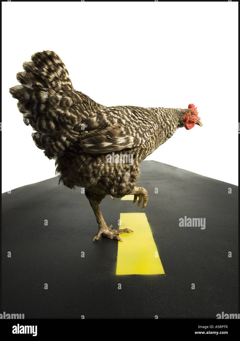 Ontdek de Geheimen van Chicken Road in onze Gokspel Review, chicken road